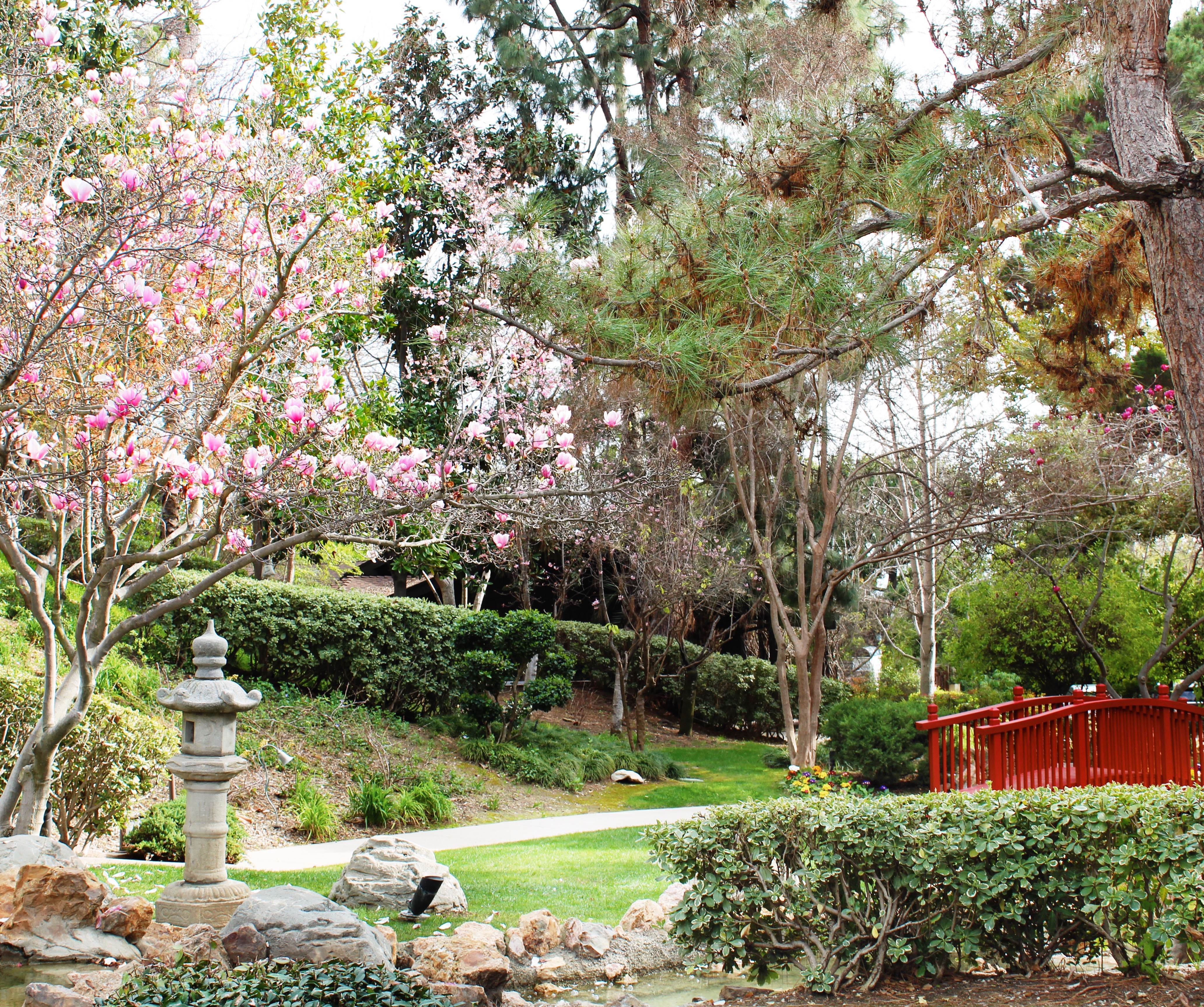 japanese-garden