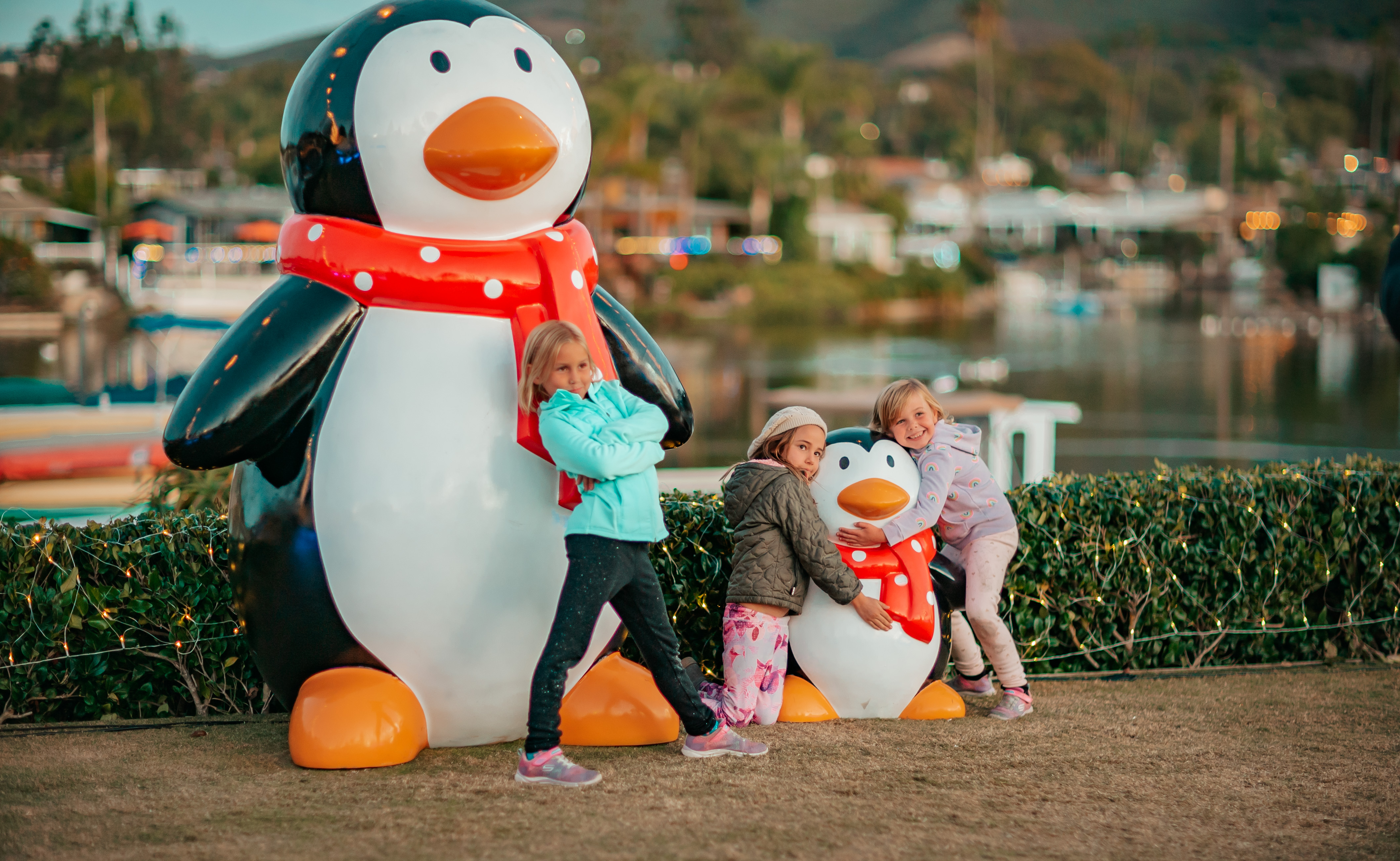 julialorene-photos-ww202281