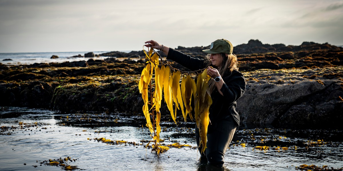 Kelpful's Caroline Skae