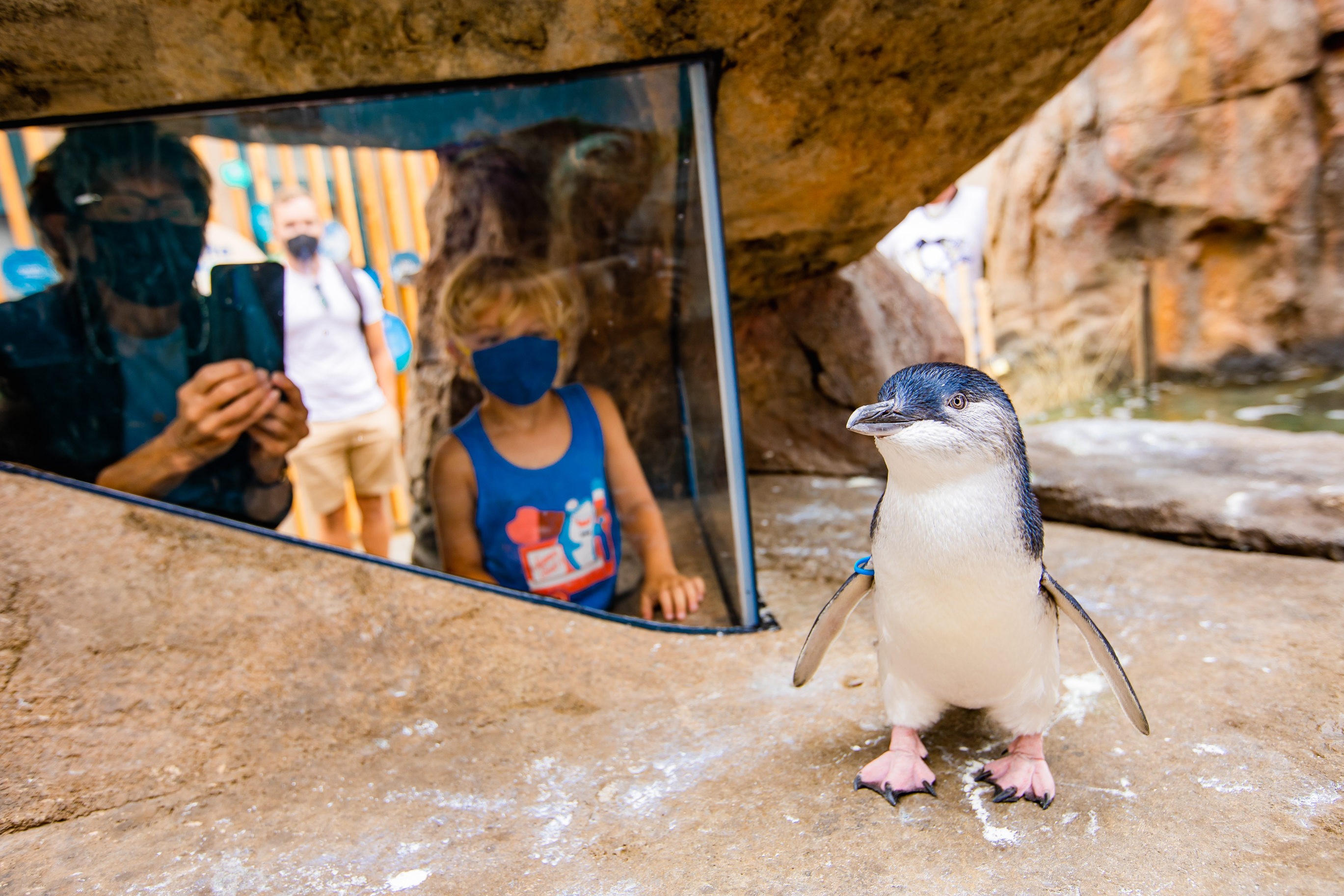birch-aquarium-at-scripps-photo-jordann-tomasek