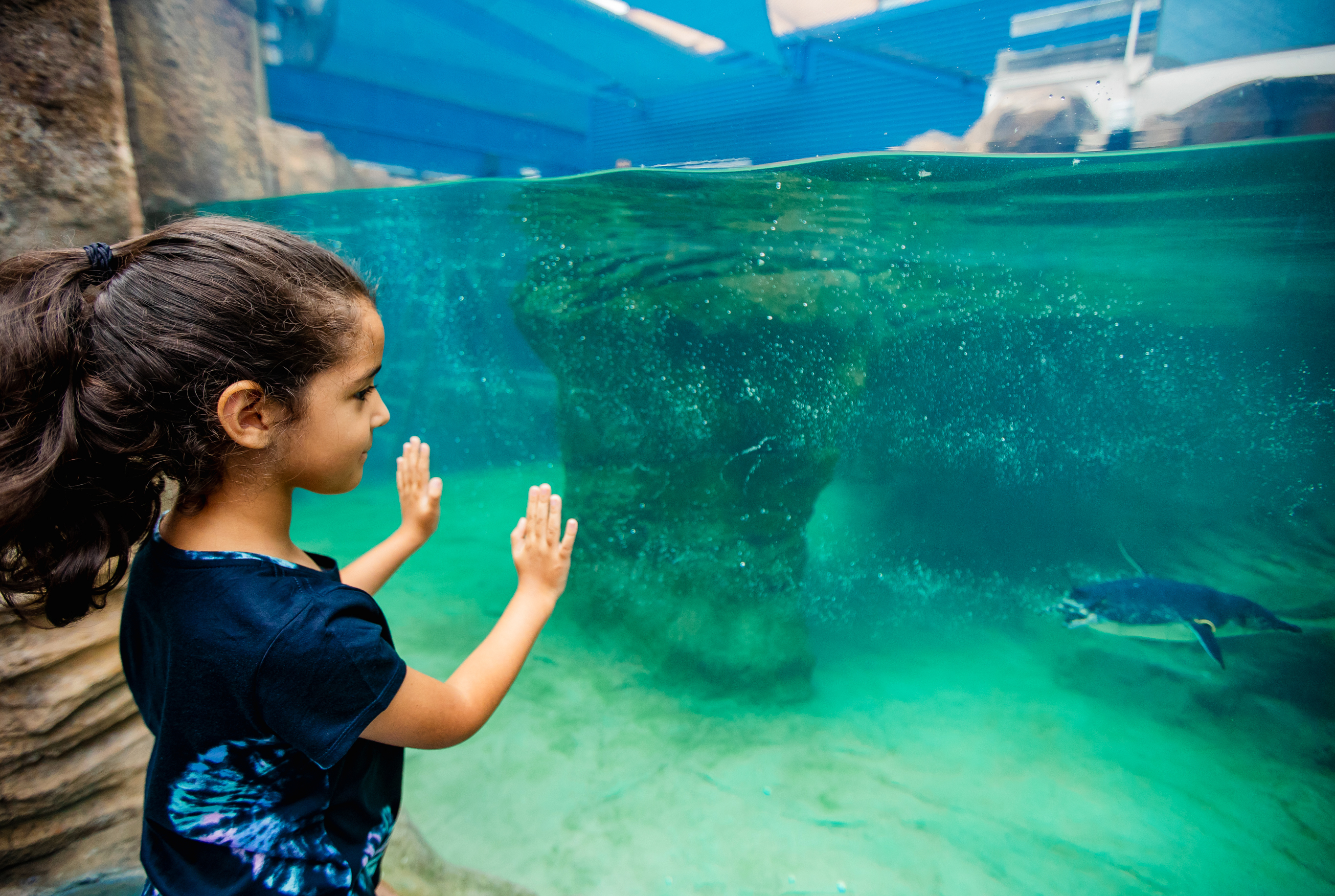 birch-aquarium-at-scripps-photo-jordann-tomasek