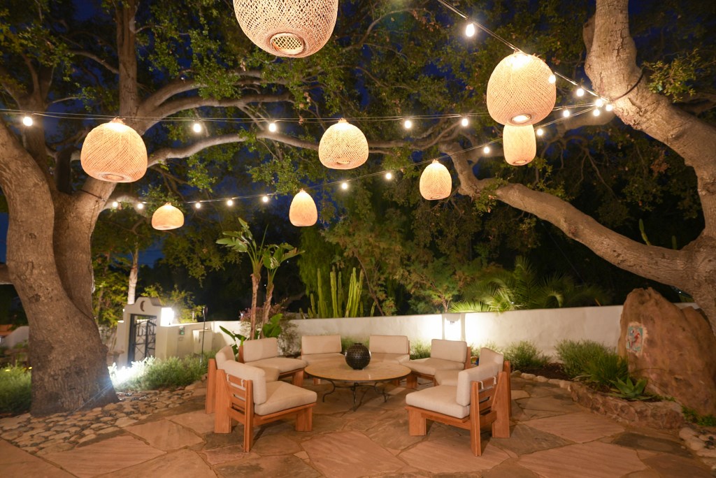 Can the Moon Really Boost Your Garden’s Growth? We Investigated.