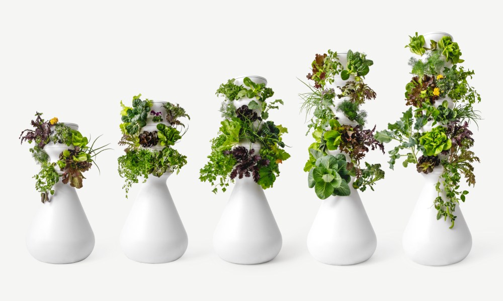 Hydroponic Hack: Lettuce Grow Farmstand Lineup