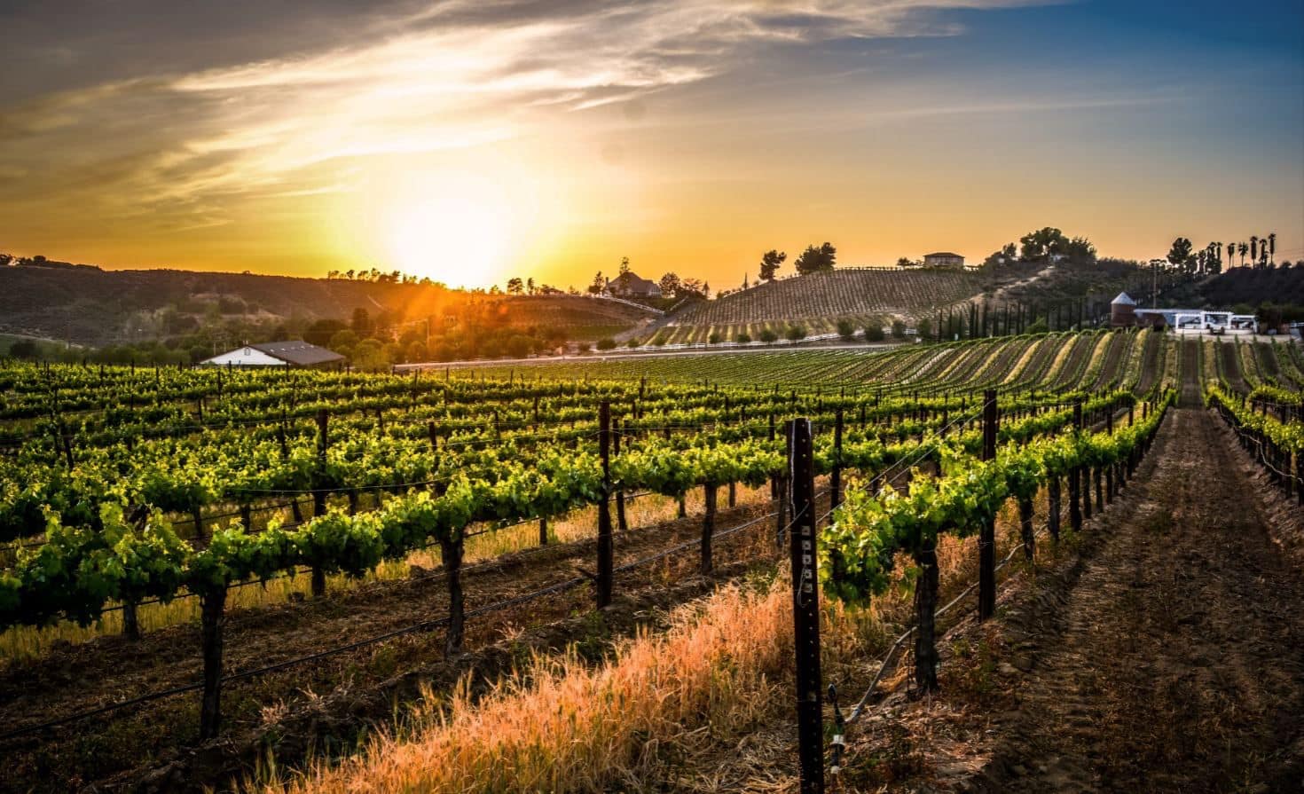 another-beautiful-day-for-wine-tasting-in-temecula-wine-country
