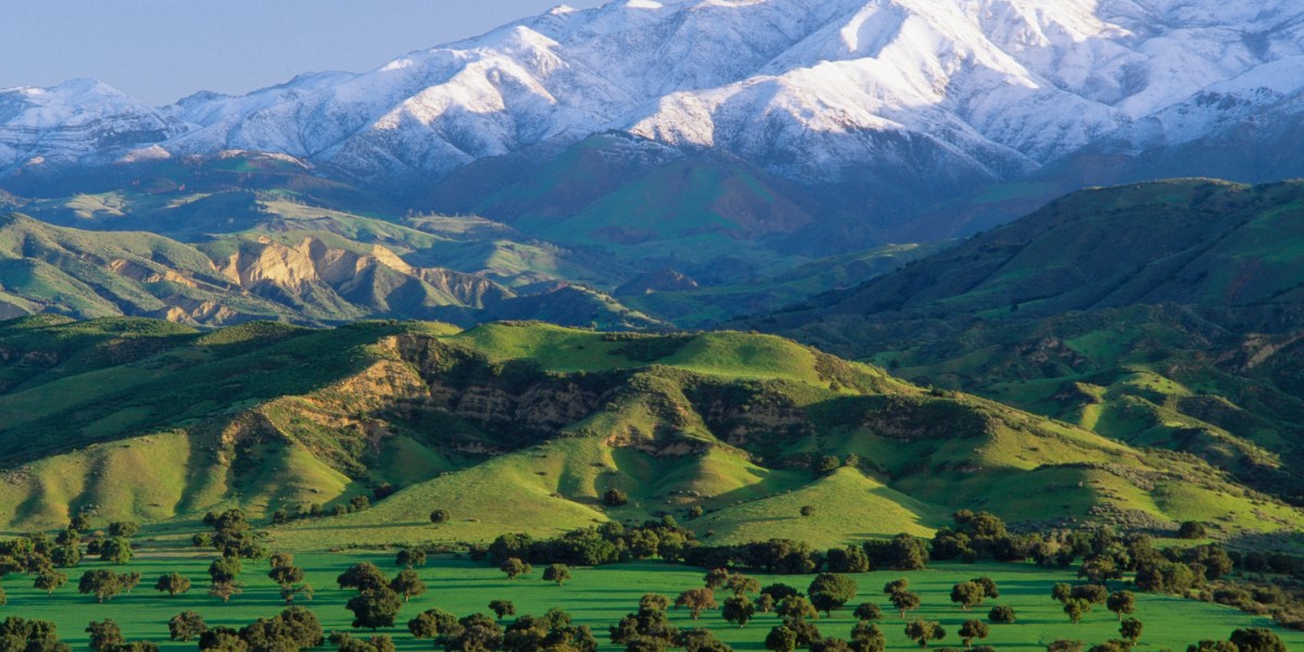 It’s National Forest Week— Here Are Some Forests We Can’t Wait to Revisit