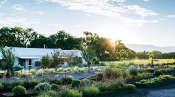 Fields at Los Poblanos Inn and Lavender Farm