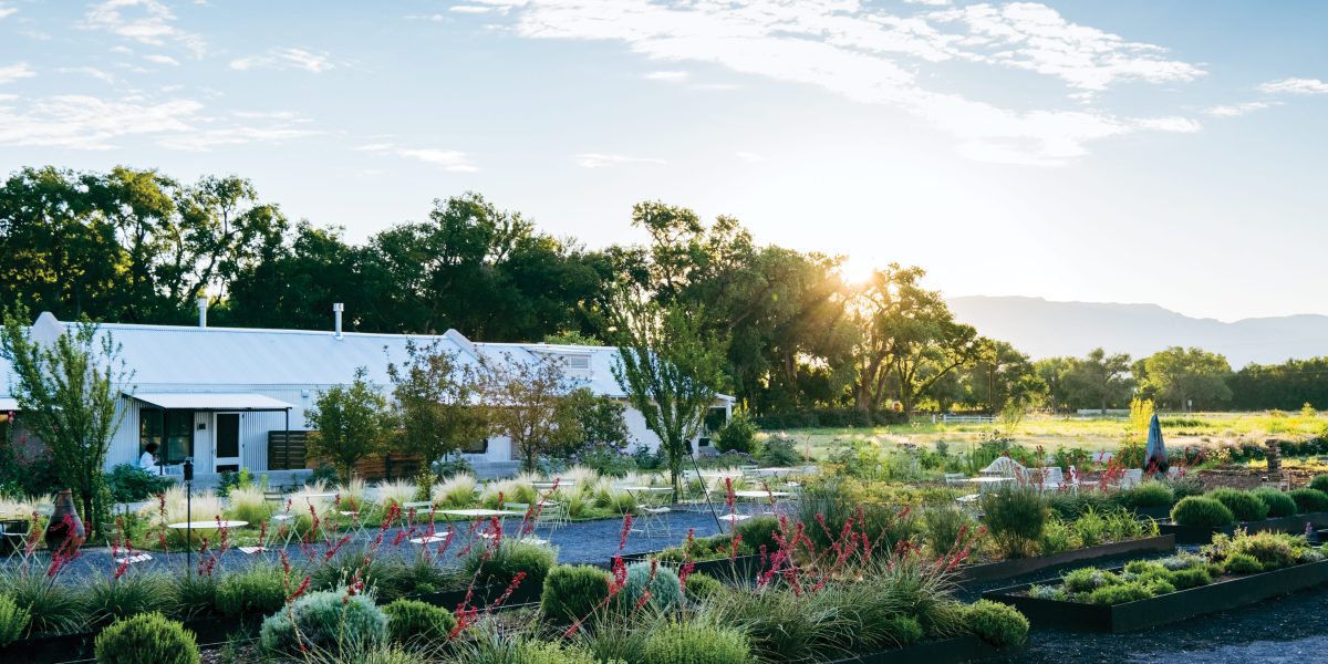 Fields at Los Poblanos Inn and Lavender Farm