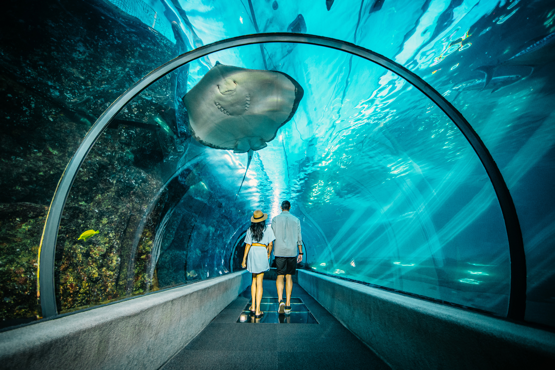 moc-couple-in-tunnel-copy