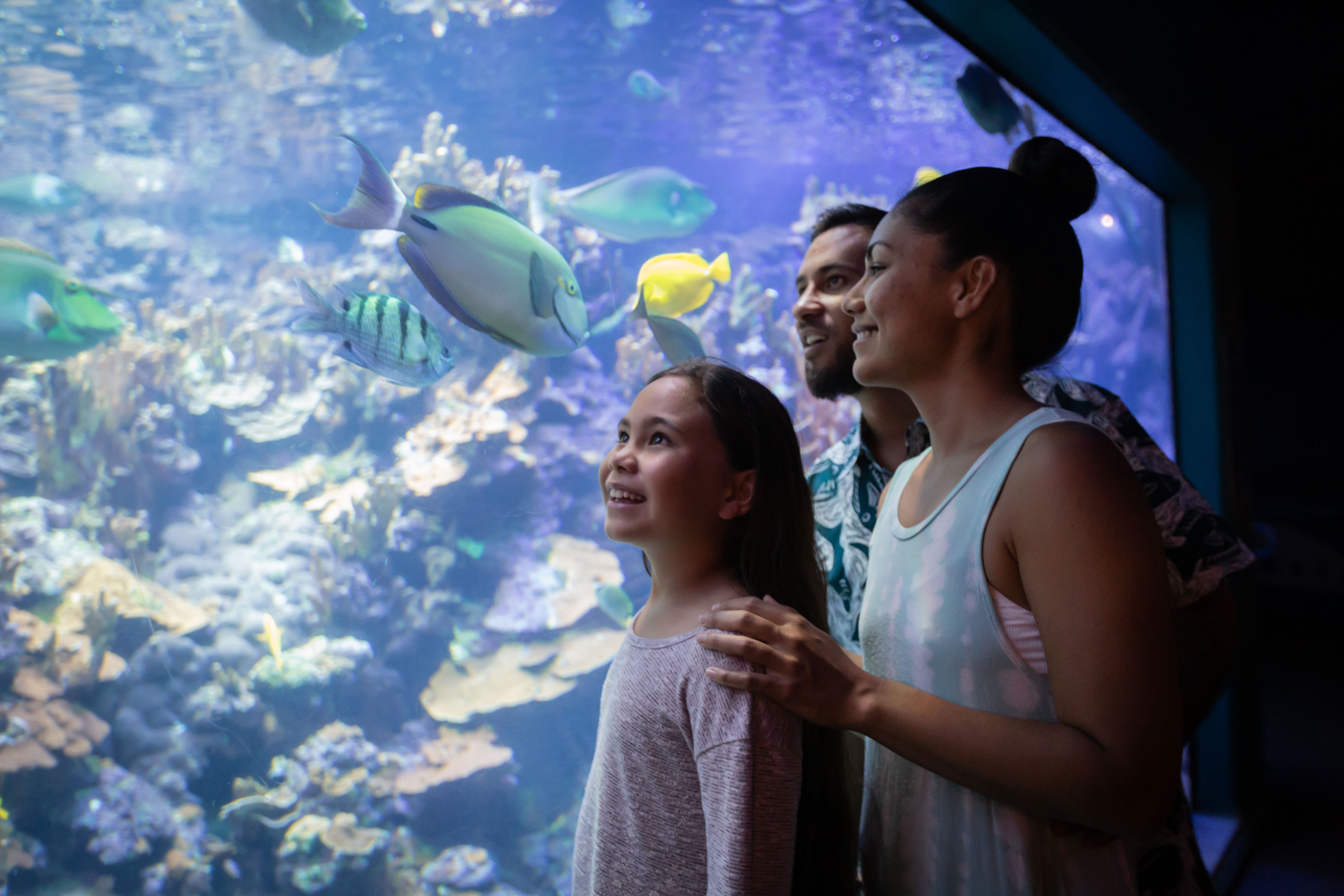 maui-ocean-center-ohana