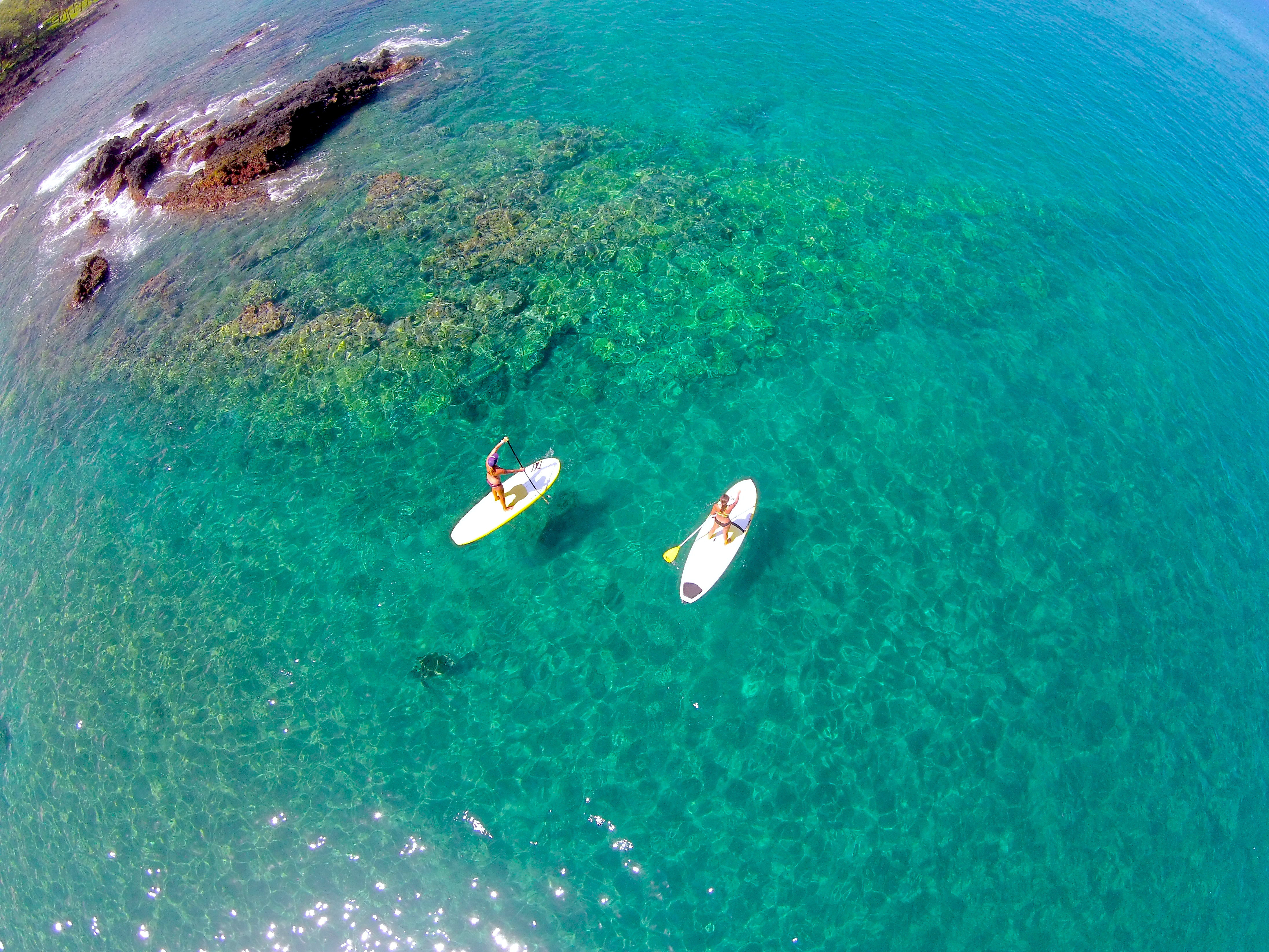 Maui Stand Up Paddle