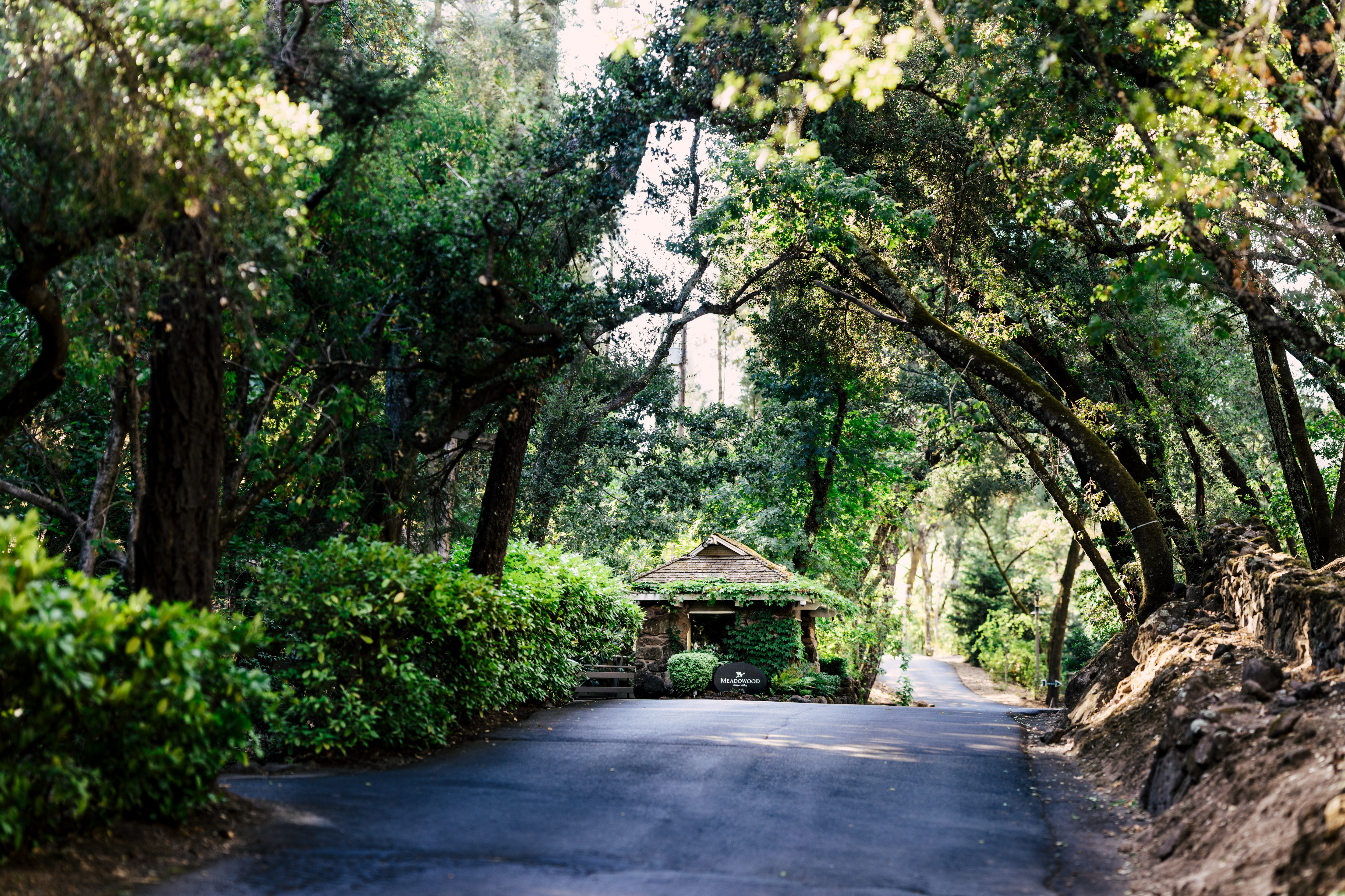 meadowood-entrance_summer