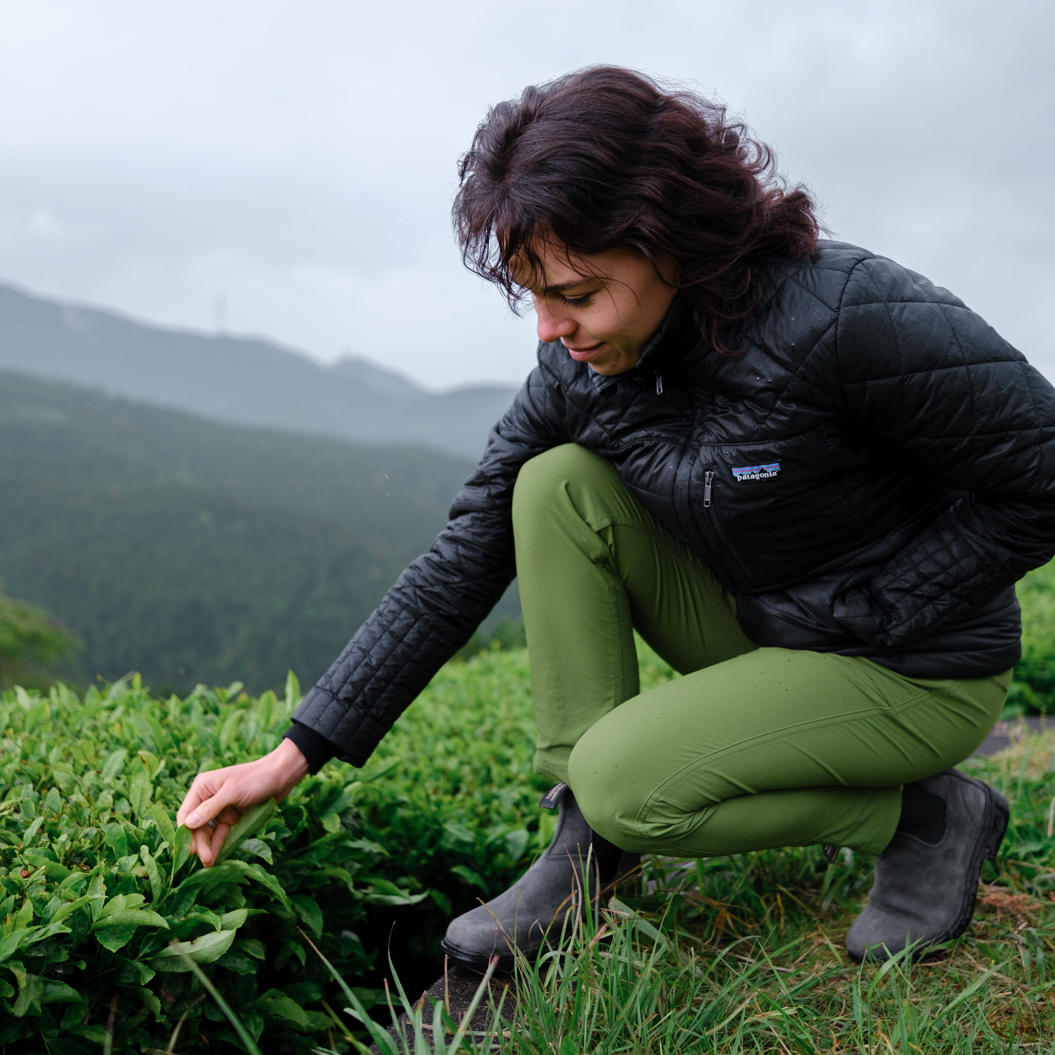 Mizuba Tea Co Founder Lauren Purvis 0429
