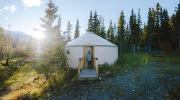 person walking into canvas yurt in forest with sun shining through trees