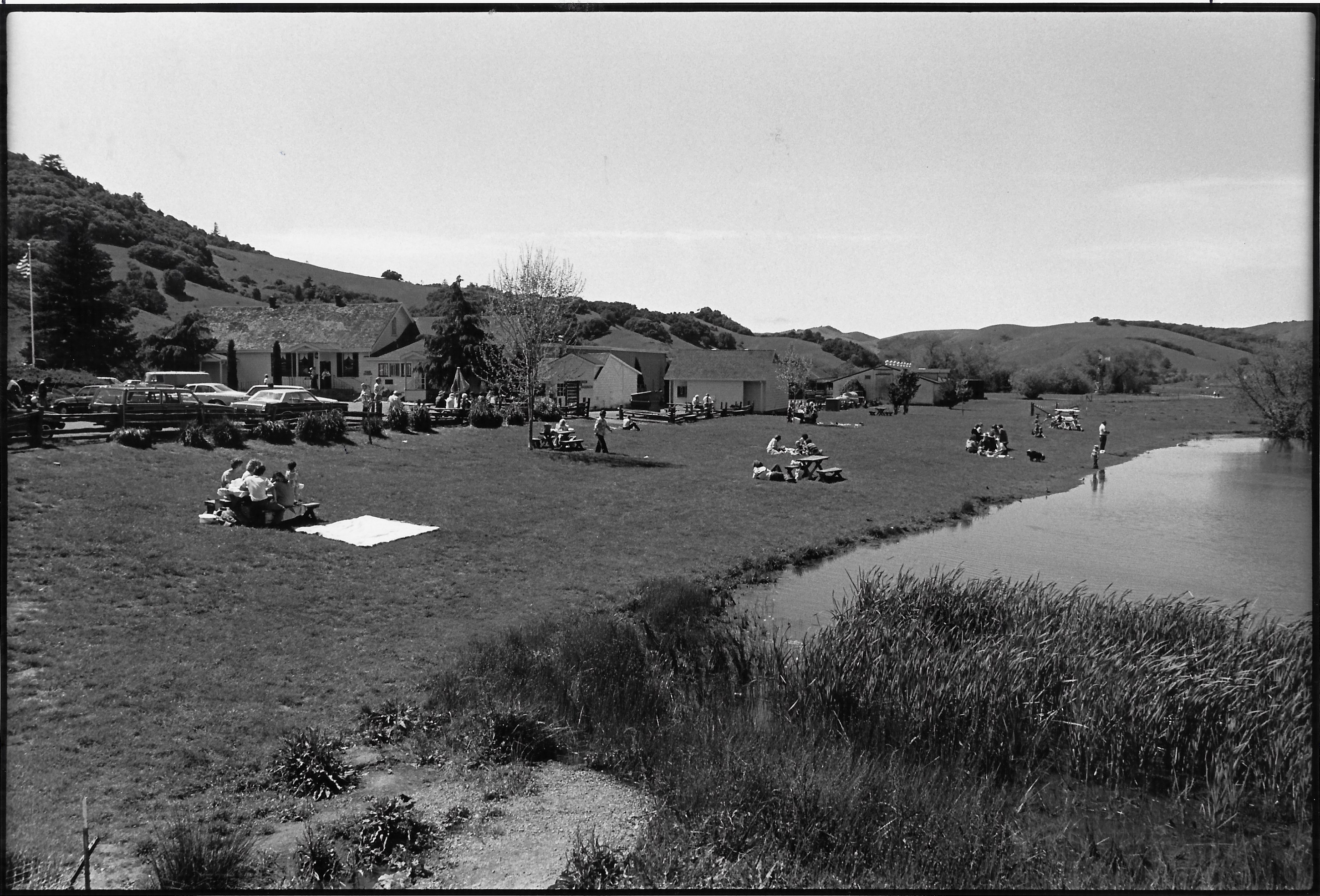 marin-french-cheese-co-1969-1972