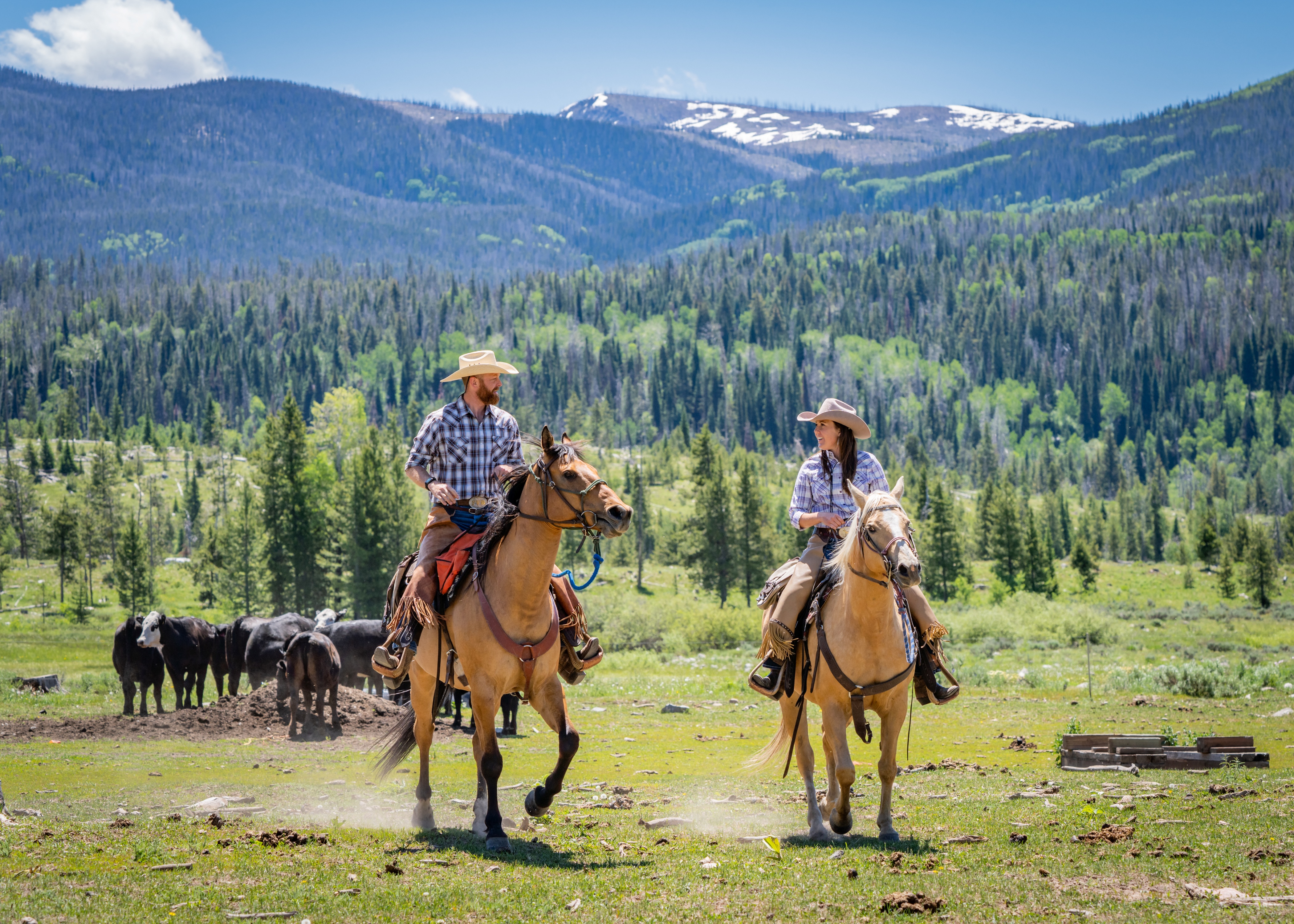 riding-out-to-check-on-the-cows-at-vista-verde-ranch