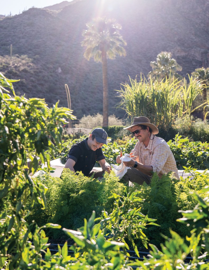 The New Spa Food: How to Make Garden-to-Table Dishes