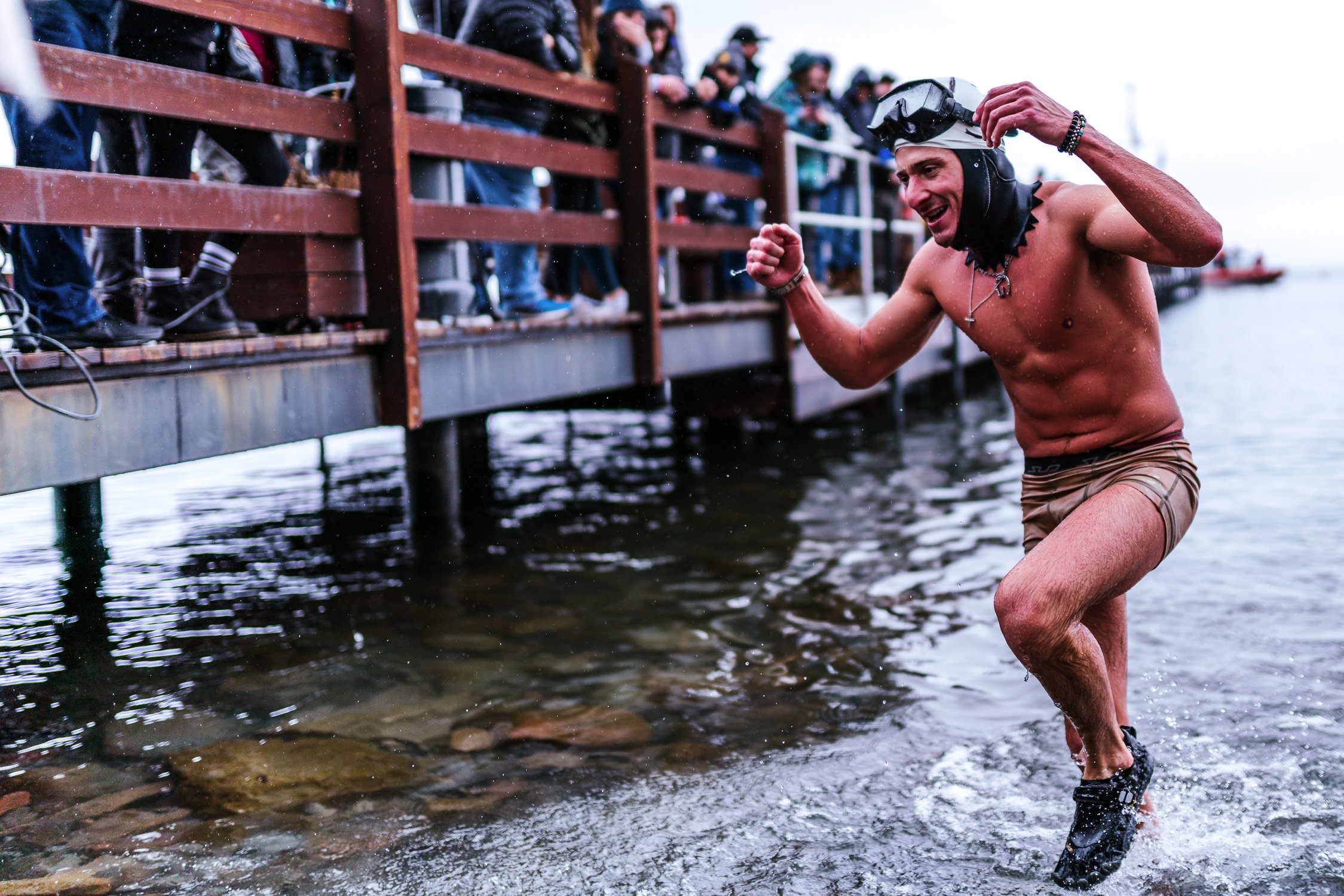 snowfest-polar-bear-swim