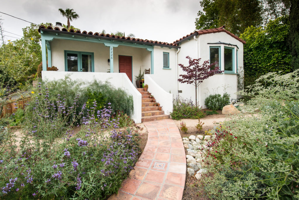 Purple flowers and front walkway in native plant yard