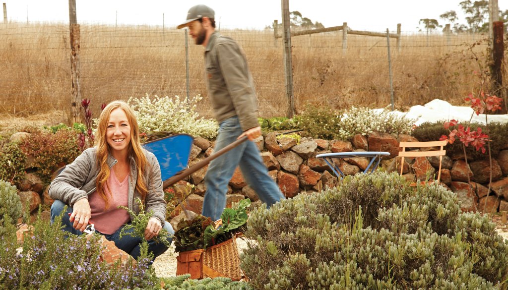 Cove to Table: Simple Seafood Recipes from Tomales Bay’s Nick’s Cove