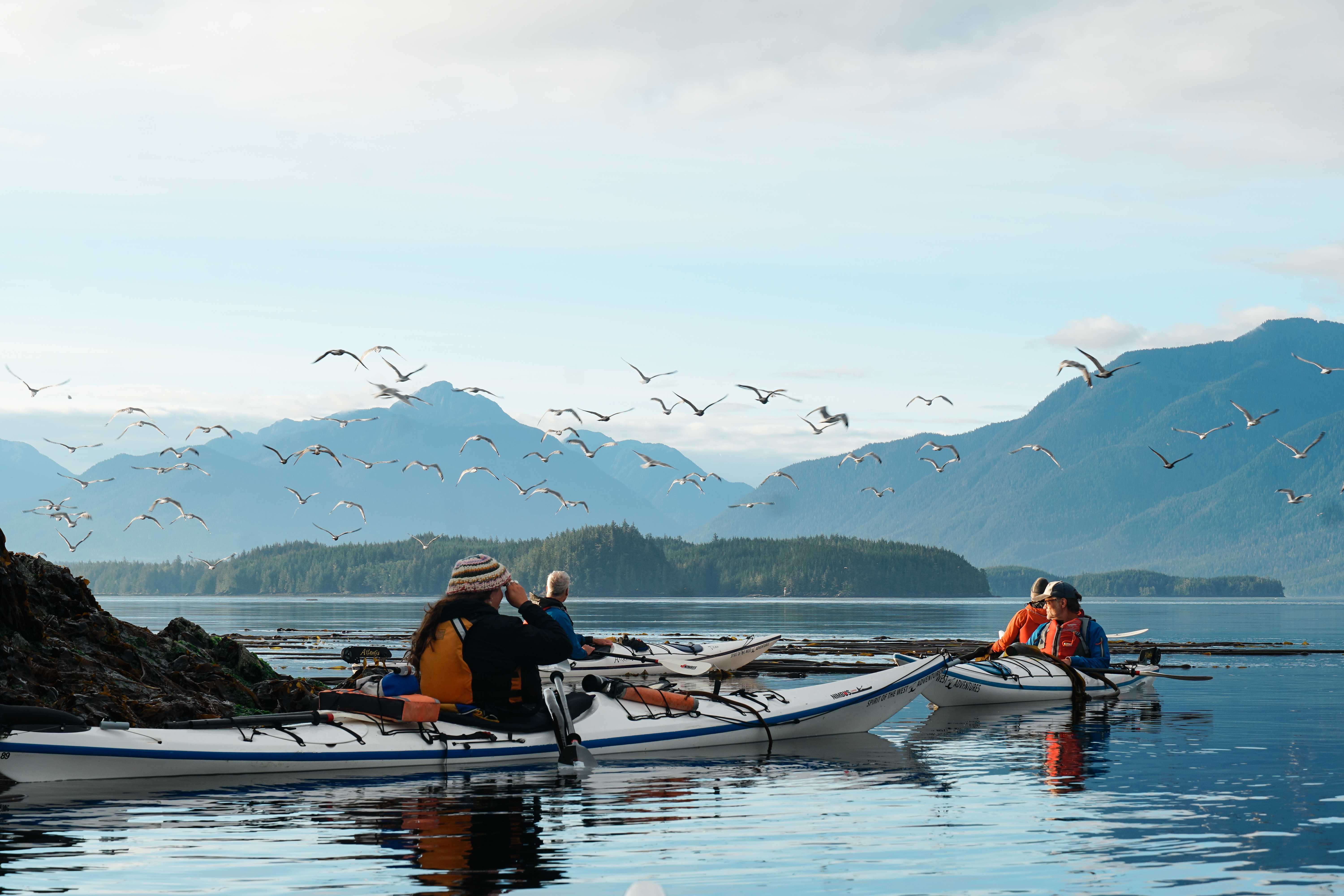 peaceful-paddling