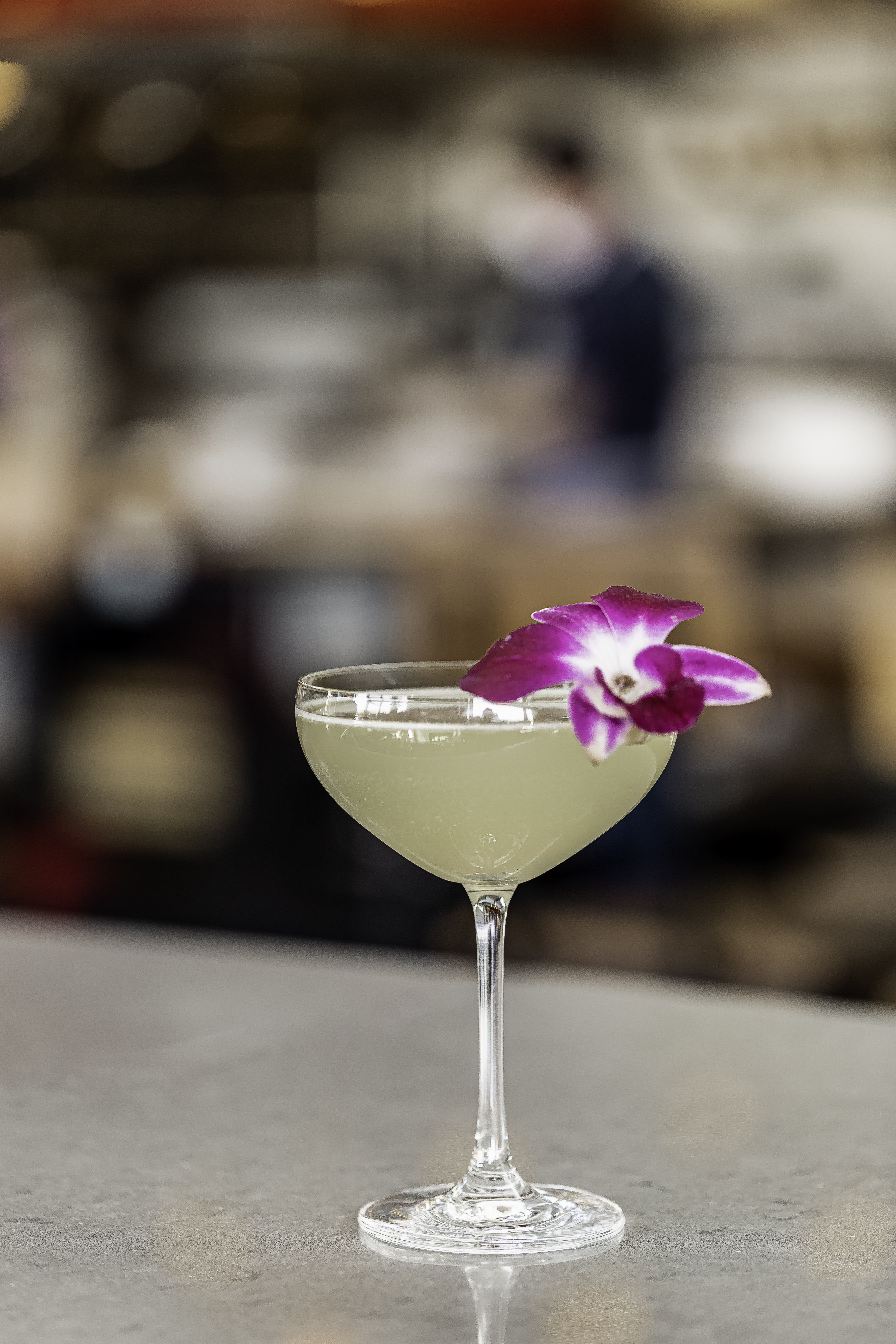 northitaliapidayday1-25-of-94