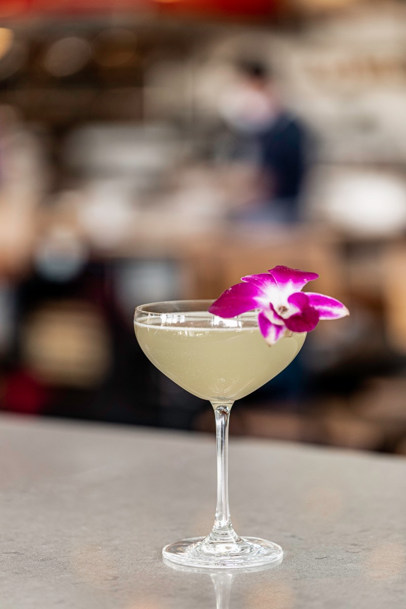 North Italia Cocktails