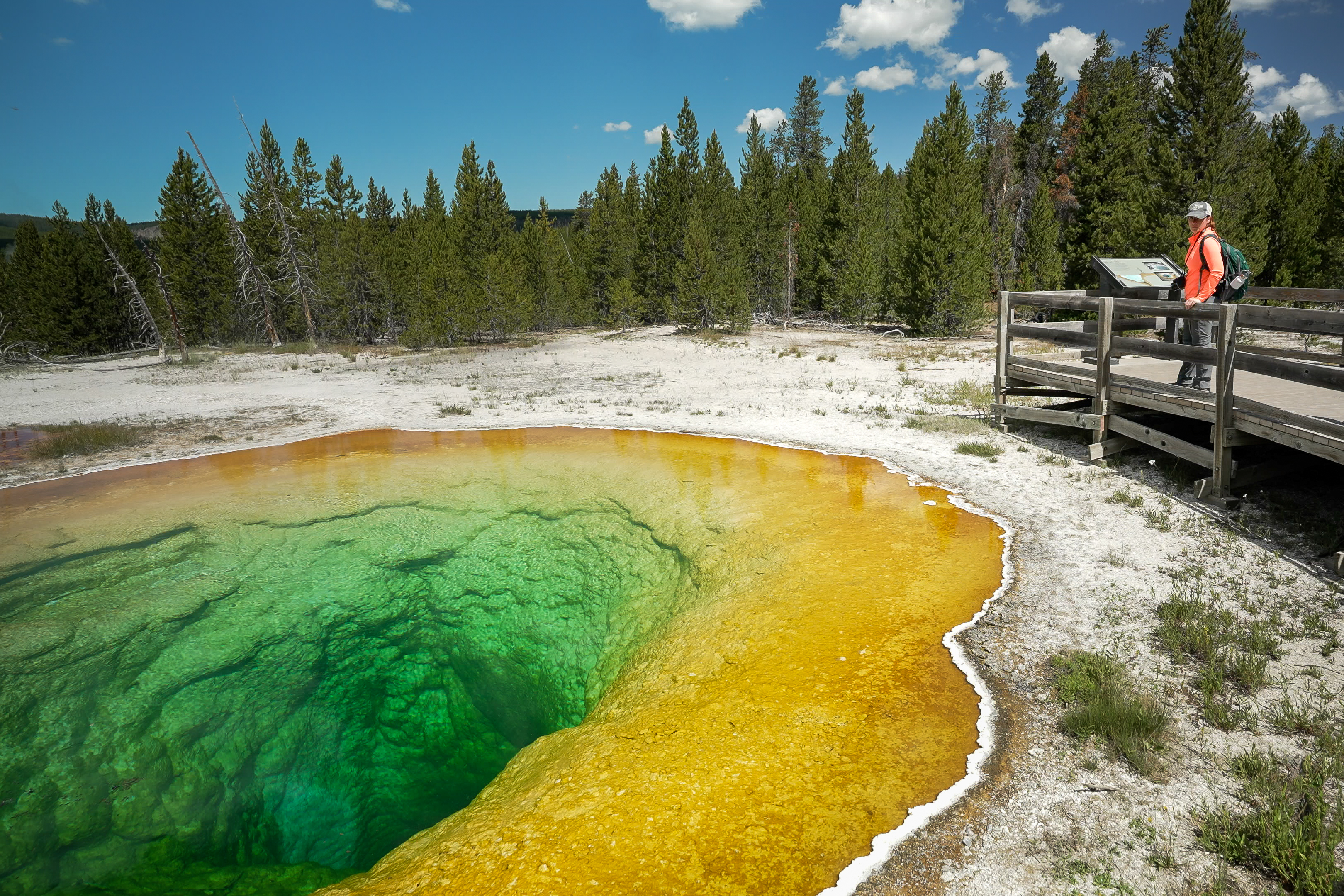 obp-essenceofynp-gtnp-03
