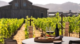 Outdoor Picnic in the Vineyard at Four Seasons Resort Napa Valley.jpg