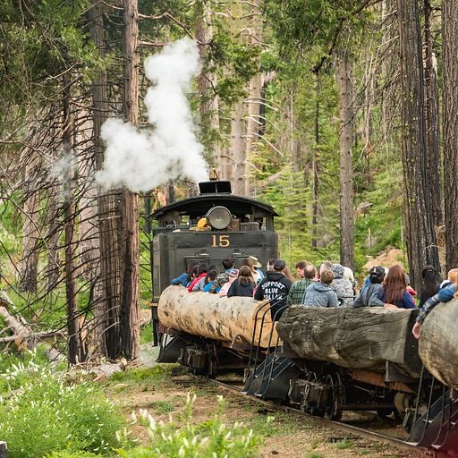 yosemite-mountain-sugar-pine-railroad-steam-engine-15