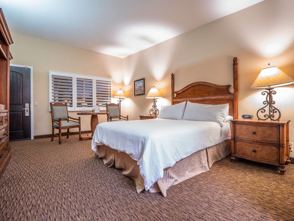 p1177590_compressed-1024768