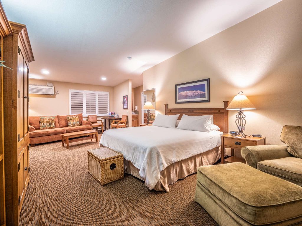 p1177632_compressed-1024768