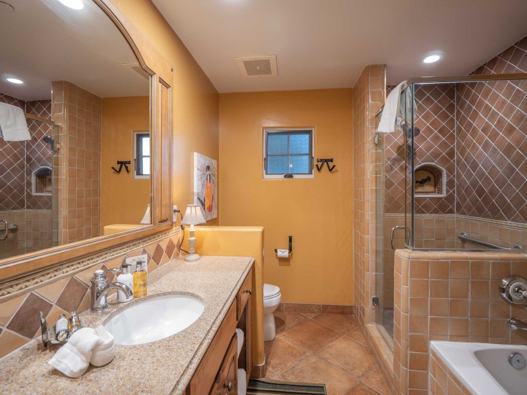 p1177954compressed-1024768