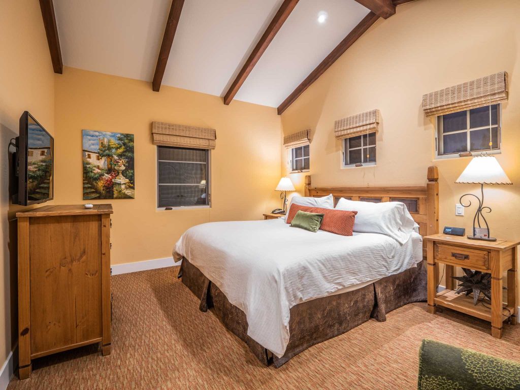 p1199035compressed-1024768