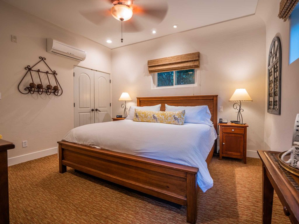 p1199095compressed-1024768