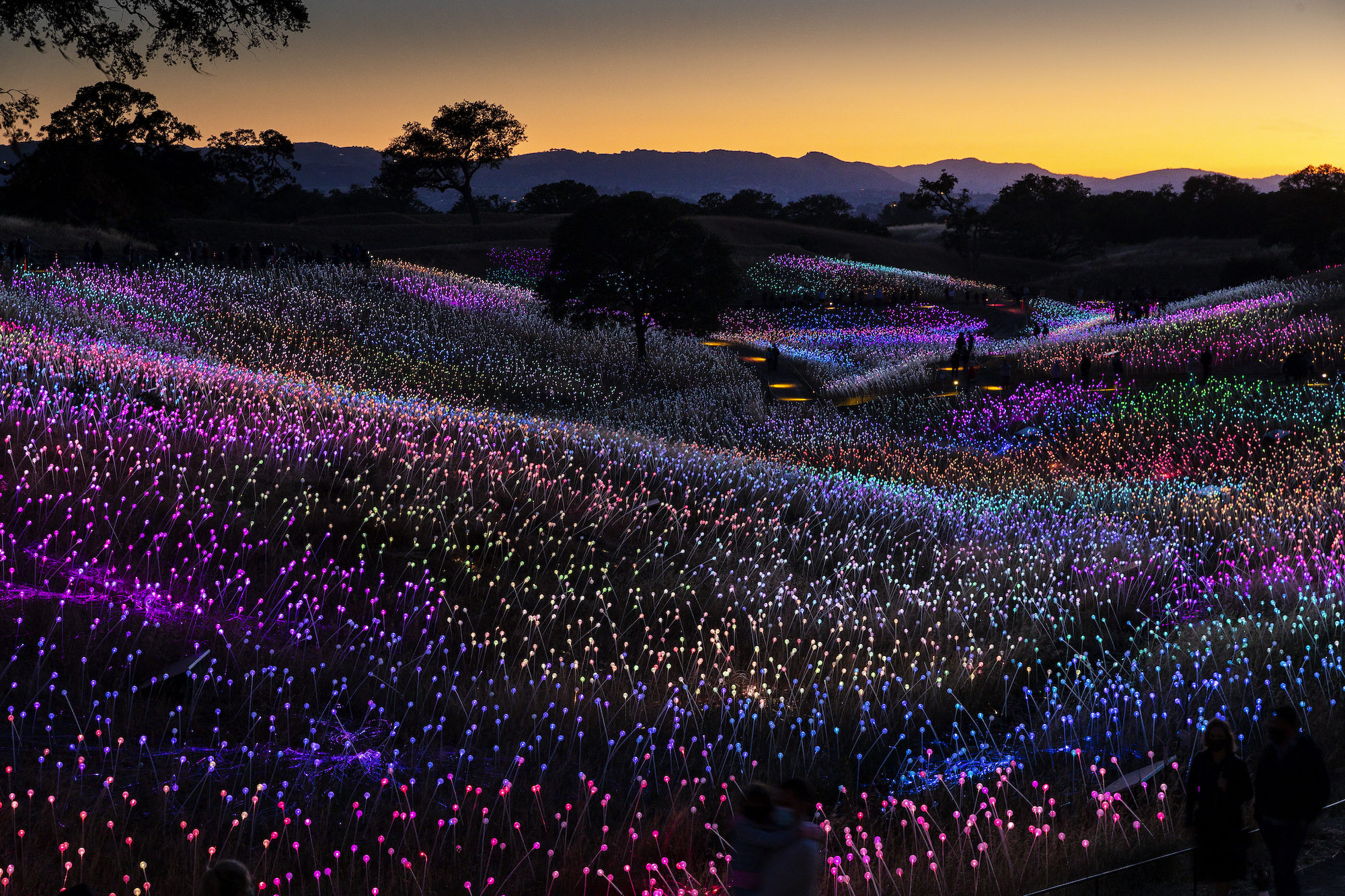 field-of-light