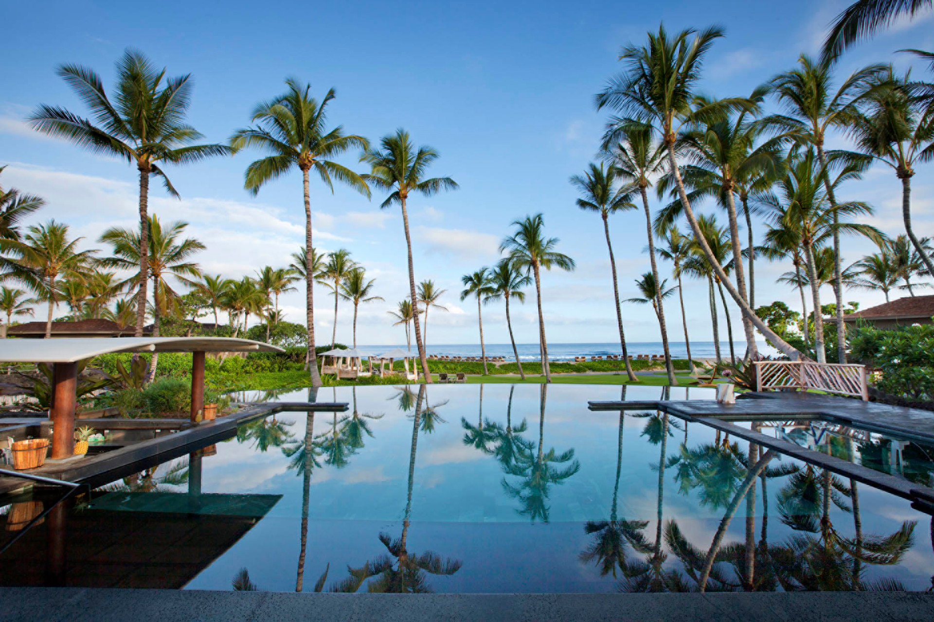 palm-grove-pool-2