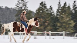 Jackie Kecskes on a Mustang