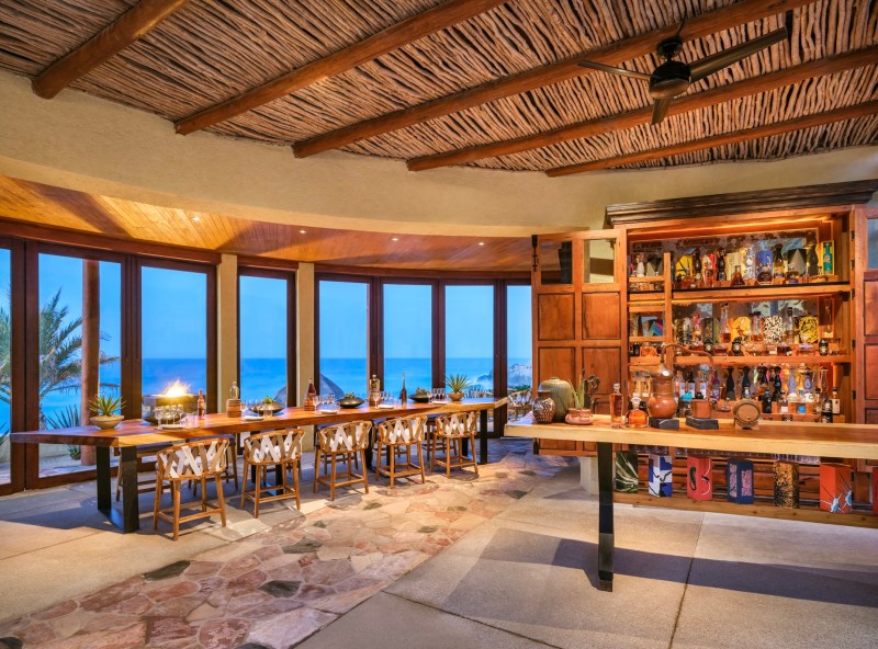 Agave Study at Peacock Alley