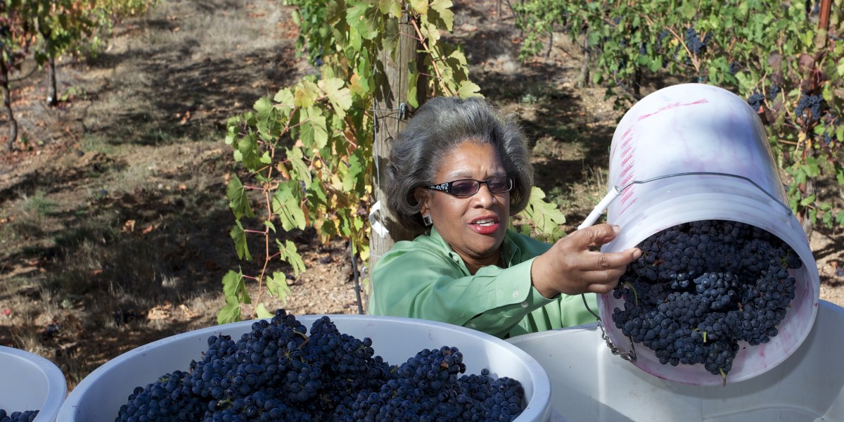 Theodora Lee with Grape Bins
