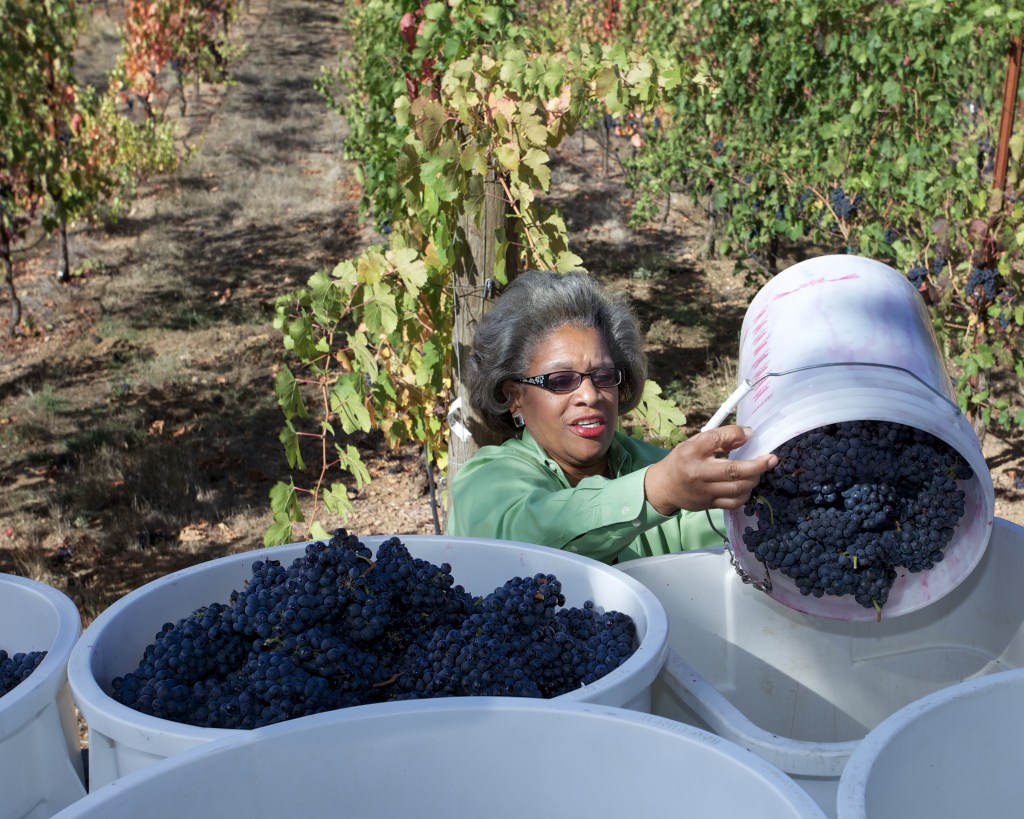 Black Winemakers Report Boom in Sales—Here’s How to Keep It Going