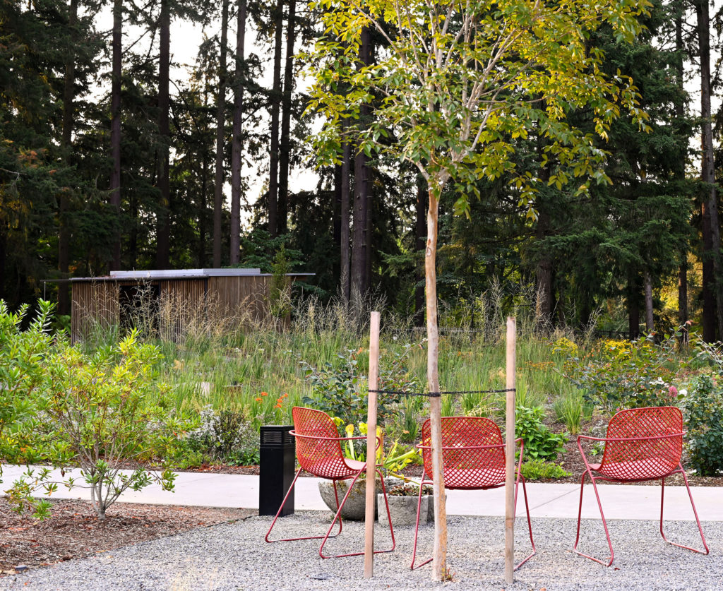 Leach Botanical Garden meadow