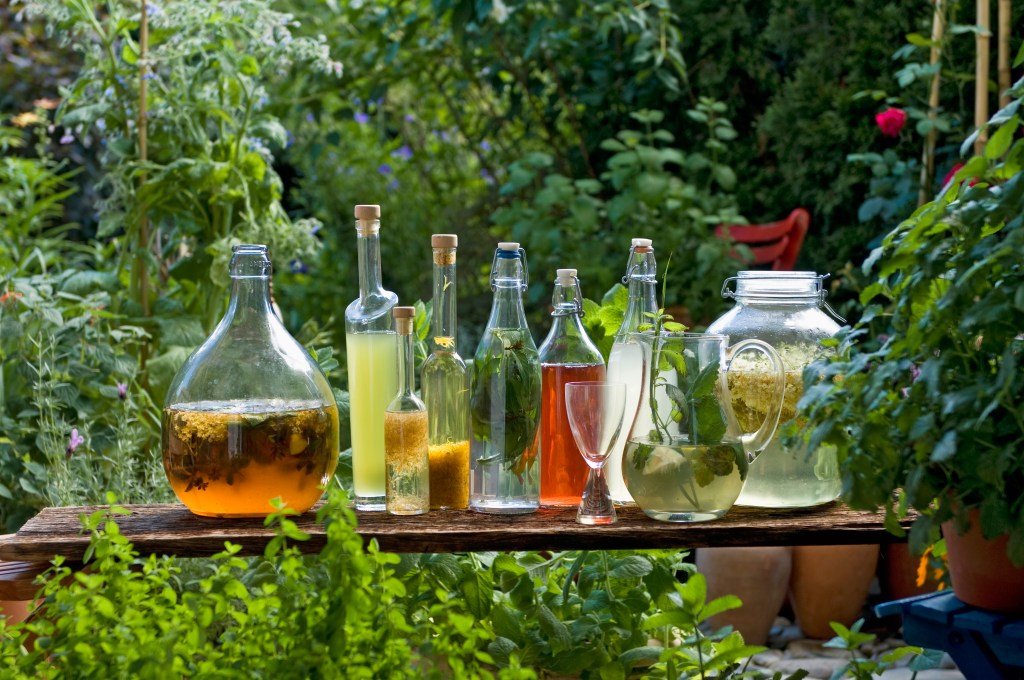 Lemongrass, Mushrooms and Beyond: Plant Your Cocktail Garden Now