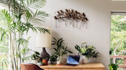Indoor Plant Styling Tips from a Hawaii-based Plant Store Owner
