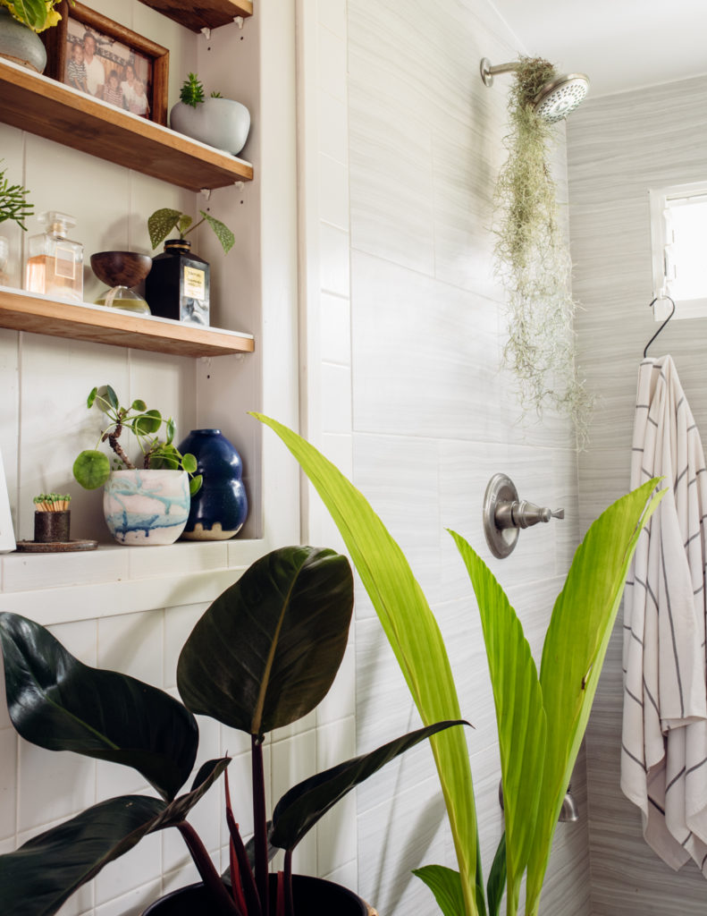 Indoor Plant Styling Tips from a Hawaii-based Plant Store Owner