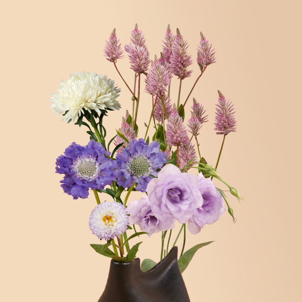 Boomer generation flower kit from Plantgem