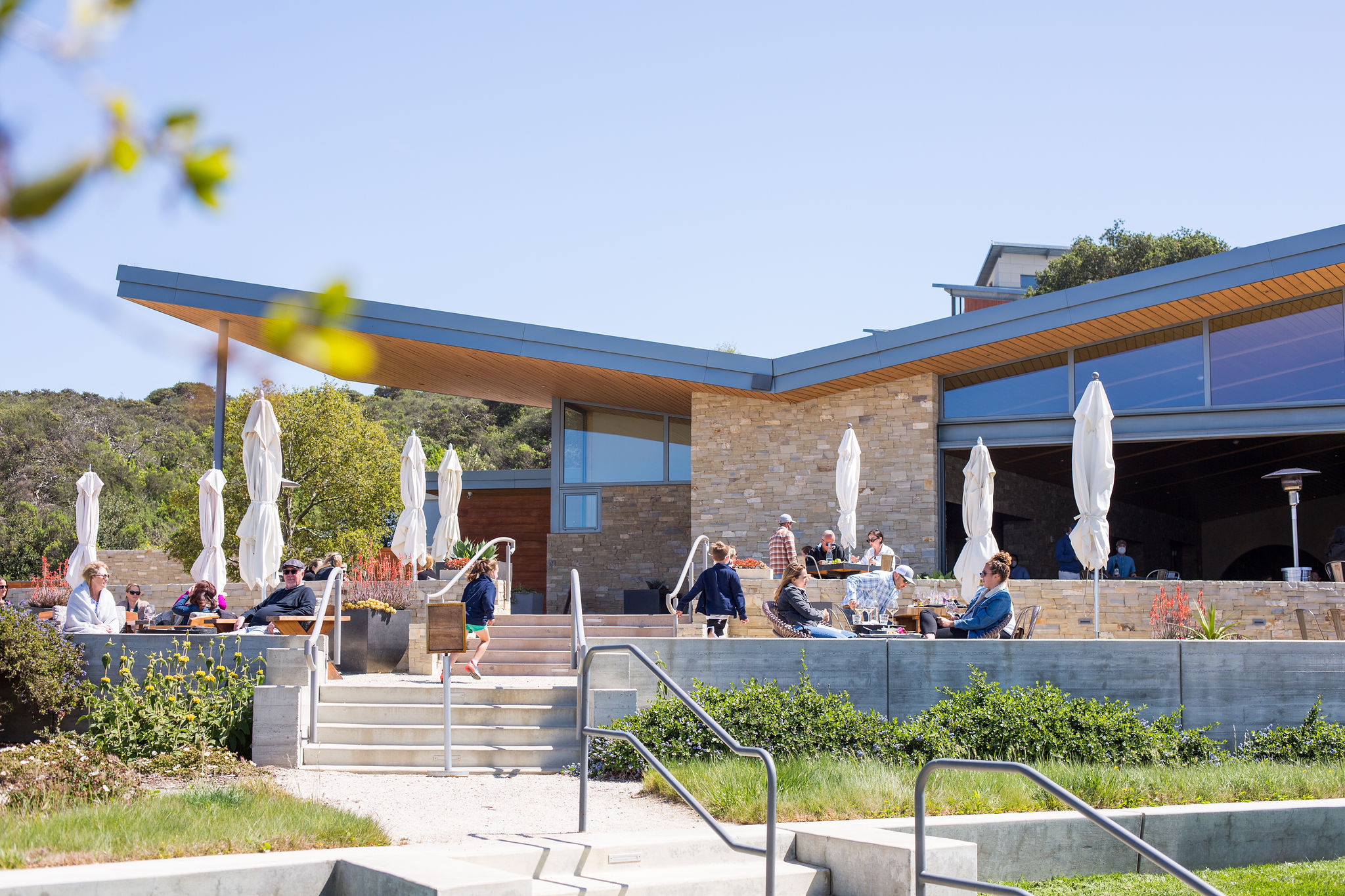 presquilewineryspring2021_photobyairykarockefeller-124