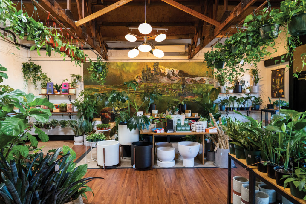 Pueblo plant shop in Phoenix, Arizona