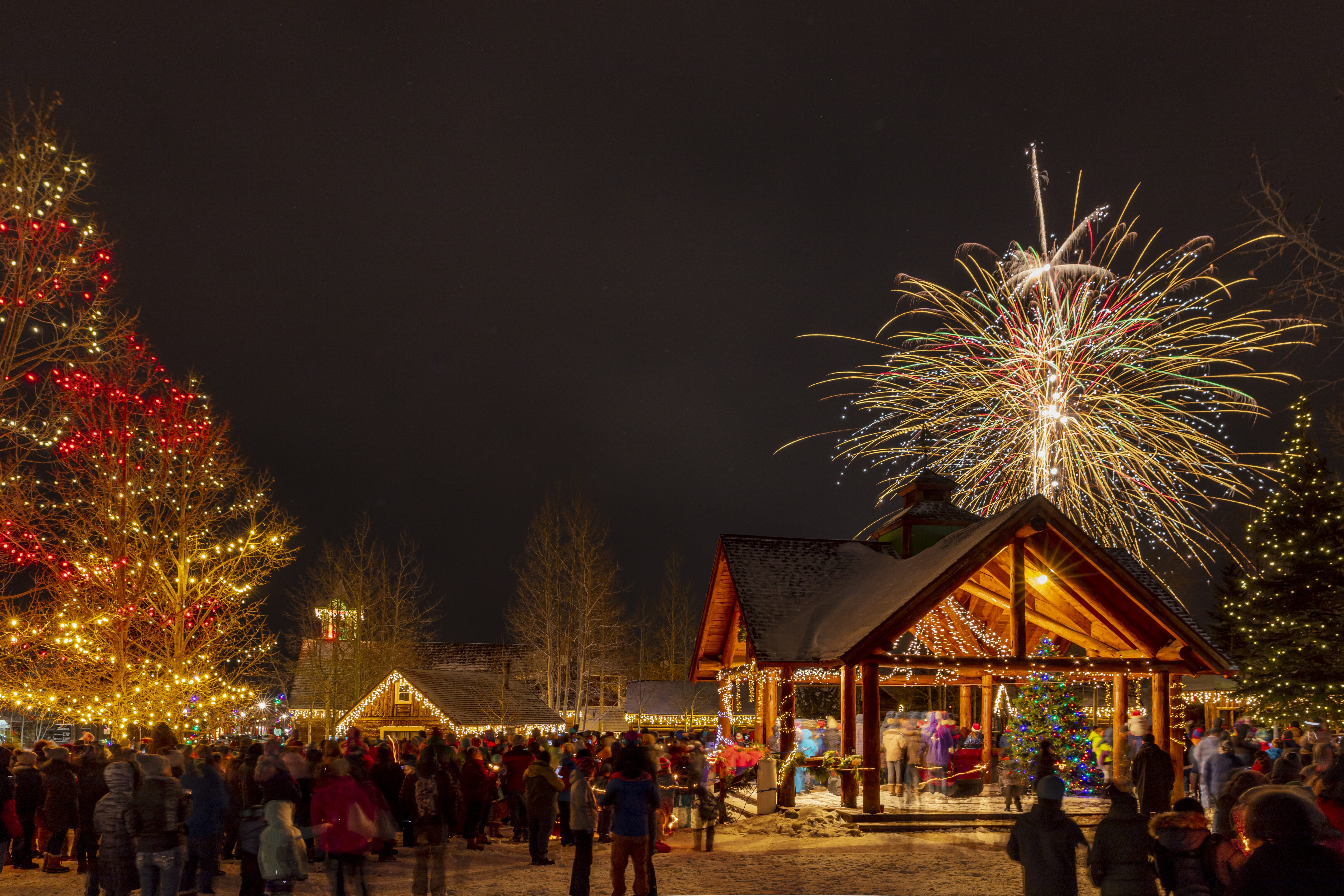 tree-lighting-at-wassail-days