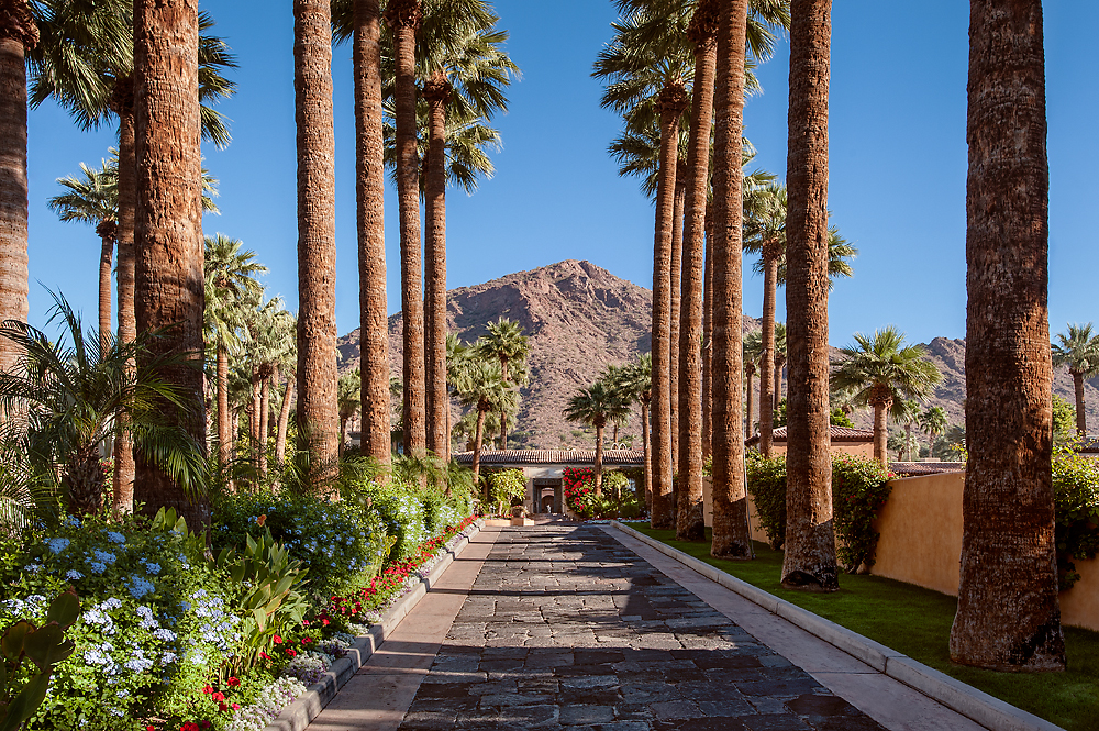 royal-palms-driveway