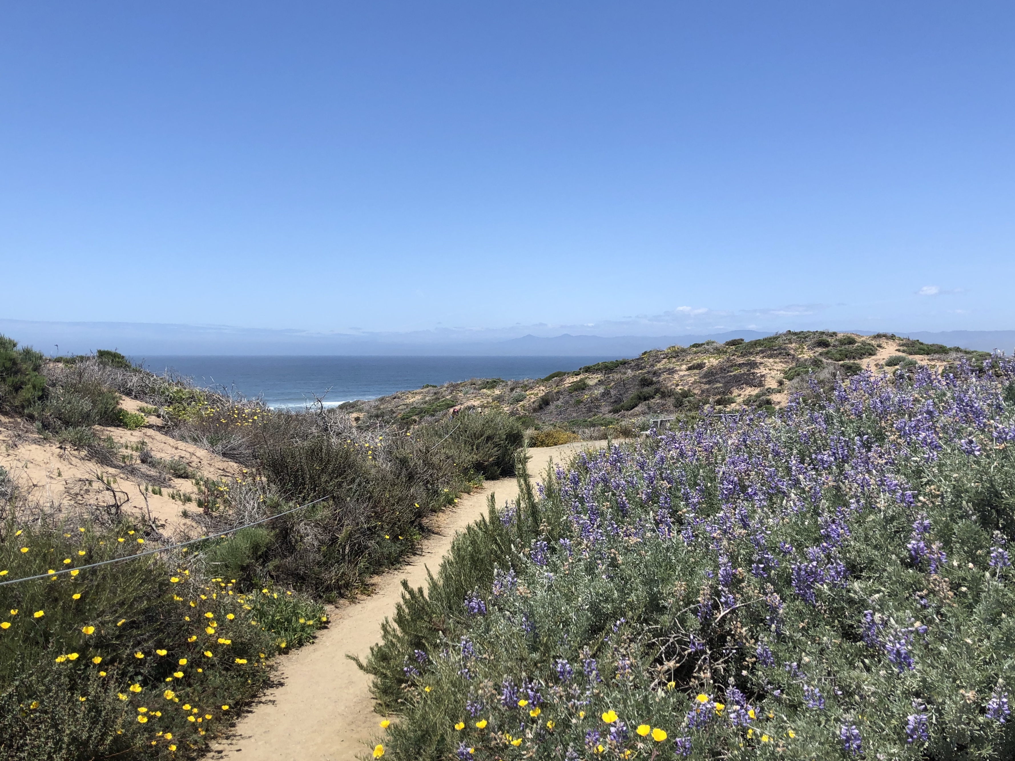 urban-hiking-to-coastal-bluffs-are-a-favorite-for-hikers-in-slo-cal